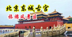 淫妻潮吹15p中国北京-东城古宫旅游风景区